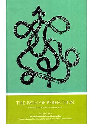 The Path of Perfection (Spirituality for the New Age)