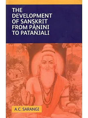 The Development of Sanskrit from Panini to Patanjali