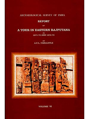 Archaeological Survey of India Report of A Tour in Eastern Rajputana in1871-72 and 1872-73 (Volume 6)