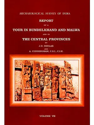 Archaeological Survey of India Report of a Tour in Bundelkhand and Malwa and in the Central Provinces (Volume 7)