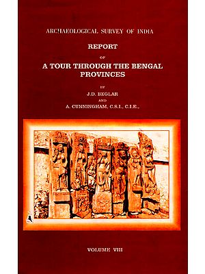 Archaeological Survey of India Report of A Tour Through the Bengal Provinces (Volume 8)