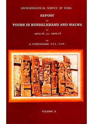 Archaeological Survey of India Report of Tours in Bundelkhand and Malwa in 1874-75 and 1876-77 (Volume 10)