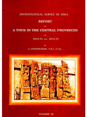 Archaeological Survey of India Report of A Tour in the Central Provinces in 1873-74 and 1874-75 (Volume 9)