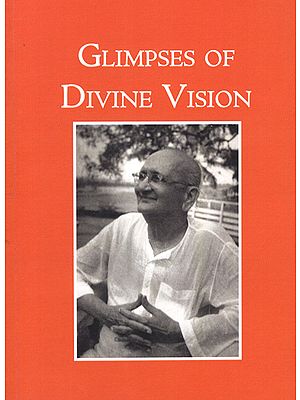 Glimpses of Divine Vision