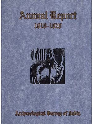 Annual Report of Archaeological Survey of India (1919-1920)