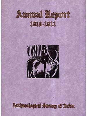 Annual Report of Archaeological Survey of India (1910-1911)