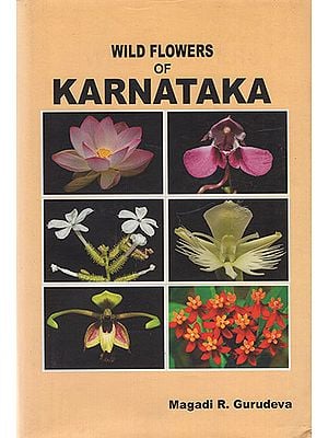Wild Flowers of Karnataka