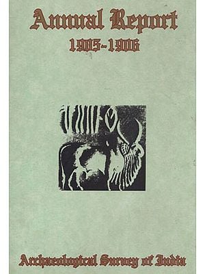 Annual Report (1905-1906)