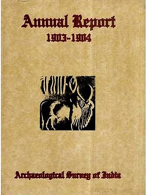 Annual Report of Archaeological Survey of India- 1903-04 (An Old and Rare Book)