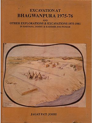 Excavation At Bhagwanpura 1975-76 (An Old and Rare Book)