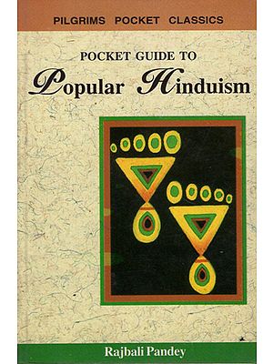 Pocket Guide to Popular Hinduism
