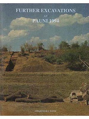 Further Excavations At Pauni 1994 (An Old and Rare Book)