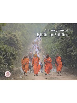 A Journey Through Bihar to Vihara