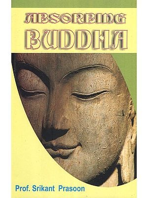 Absorbing Buddha