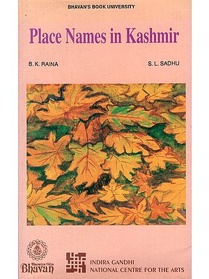 Place Names in Kashmir (An Old and Rare Book)