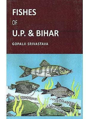 Fishes of U.P. & Bihar