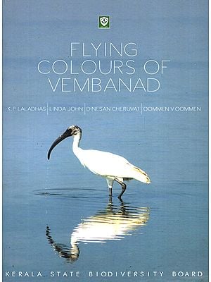 Flying Colours of Vembanad