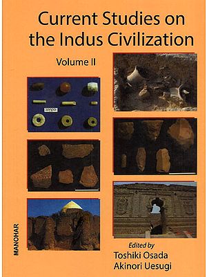 Current Studies on the Indus Civilization