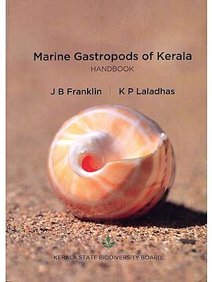 Marine Gastropods of Kerala Handbook