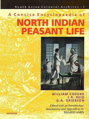 A Concise Encyclopaedia of North Indian Peasant Life