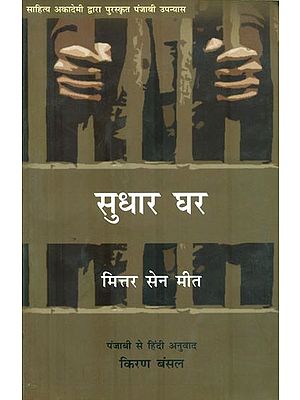 सुधार घर : Sudhar Ghar (Novel)