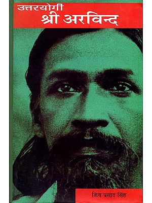 उपयोगी श्री अरविन्द: Sri Aurobindo (Novel)