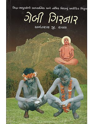 Gebi Girnar (Gujarati)