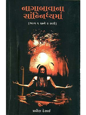 નાગાબાવાના સાંન્નિધ્યમાં: Nagabavana Sannidhyaman (Gujarati)