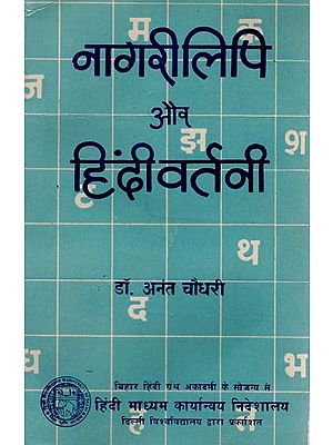 नागरी लिपि और हिंदी वर्तनी: Nagari Script and Hindi Script (An Old Book)