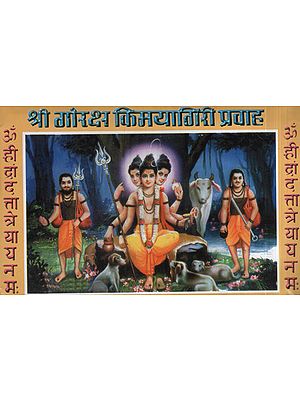 श्री गोरक्ष किमयागिरी प्रवाह - Shri Goraksha Alchemy Stream (Marathi)