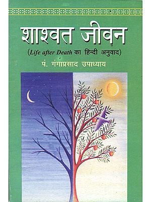 शाश्वत जीवन : Life After Death