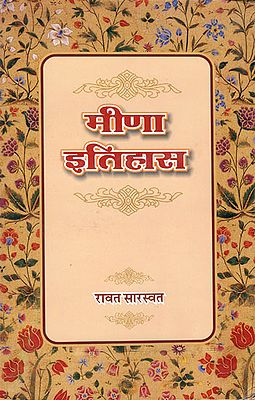 मीणा इतिहास: History of Meena