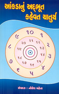 Aankadanu Adbhoot Kahevat Chaturya - Novel (Gujarati)