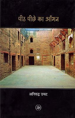 पीठ पीछे का आँगन: Peeth Pichhe Ka Aangan (A Novel)