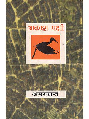 आकाश पक्षी : Aakash Pakshi (Novel)