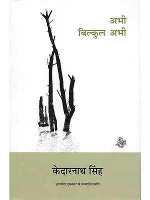 अभी बिलकुल अभी: Now Right Now (Collection of Hindi Poems)