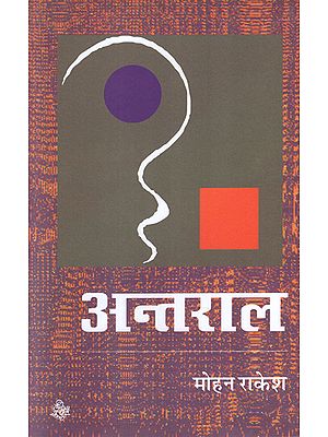 अन्तराल: Antaral (Novel)