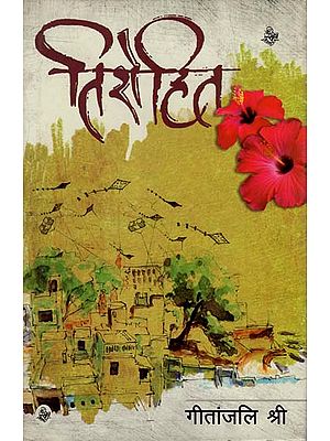 तिरोहित: Tirohit (A Novel)