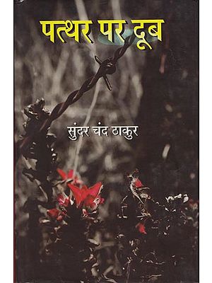 पत्थर पर दूब: Patthar Per Doob (A Novel)