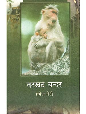 नटखट बन्दर :  Naughty Monkey