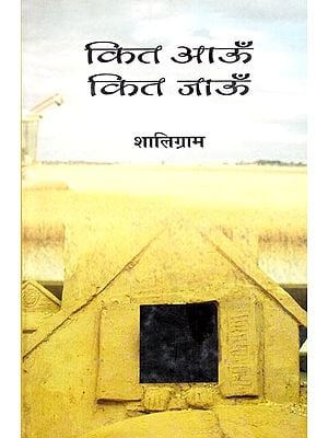 कित आऊँ कित जाऊँ: How Much Should I Go (A Novel)