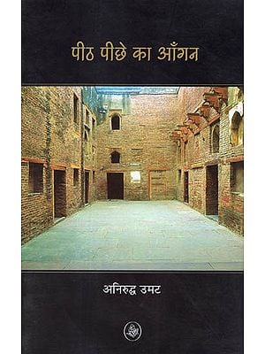 पीठ पीछे का आँगन: Peeth Pichhe Ka Aangan (A Novel)