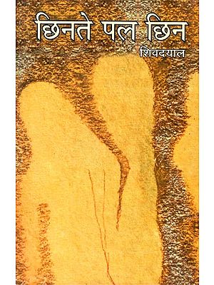 छिनते पल छिन: Chhinate Pal Chhin (A Novel)