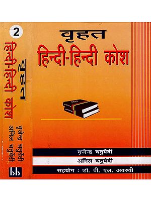 वृहत हिन्दी - हिन्दी कोश: Brihat Hindi - Hindi Dictionary (Set Of 2 Volumes)