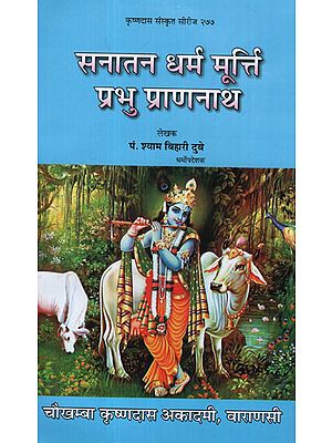 सनातन धर्म मूर्त्ति प्रभू प्राणनाथ- Sanatan Dharma Idol-  Prabhu Prannath