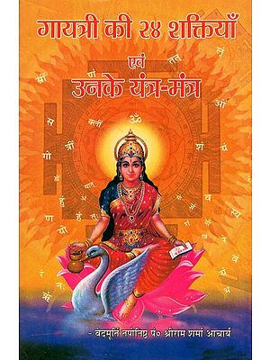 गायत्री की चौबीस शक्तियाँ एवं उनके यन्त्र - मंत्र :  Gayatri's Twenty Four Powers and Their Yantras - Mantras