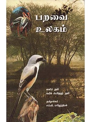 Common Bird (Tamil)