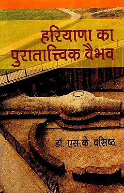 हरियाणा का पुरातात्त्विक वैभव- Archaeological Grandeur of Haryana