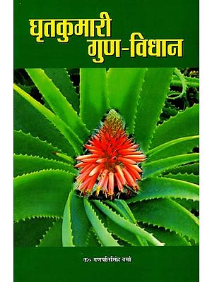 घृतकुमारी गुण विधान - Aloevera properties