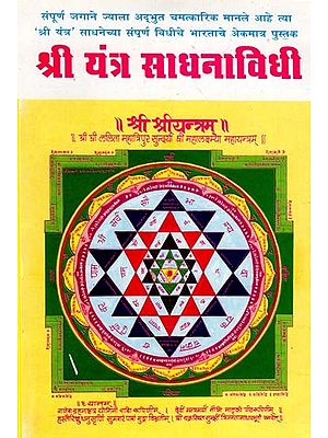 श्री यंत्र साधनाविधी - Shri Yantra Sadhana Vidhi